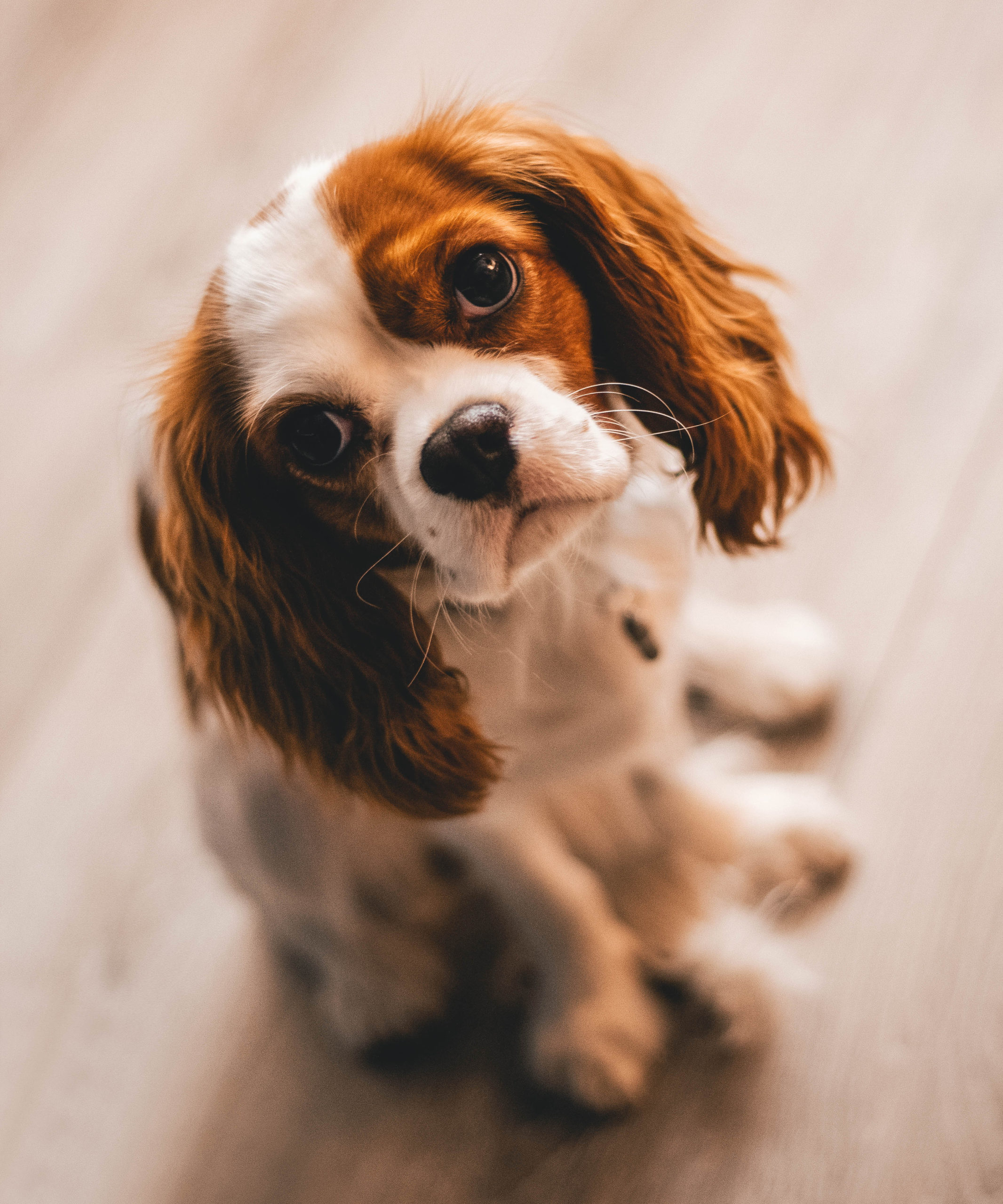 Lovingkindness Laser Treatment Lovingkindness Laser Treatment