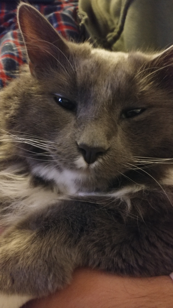 Pip