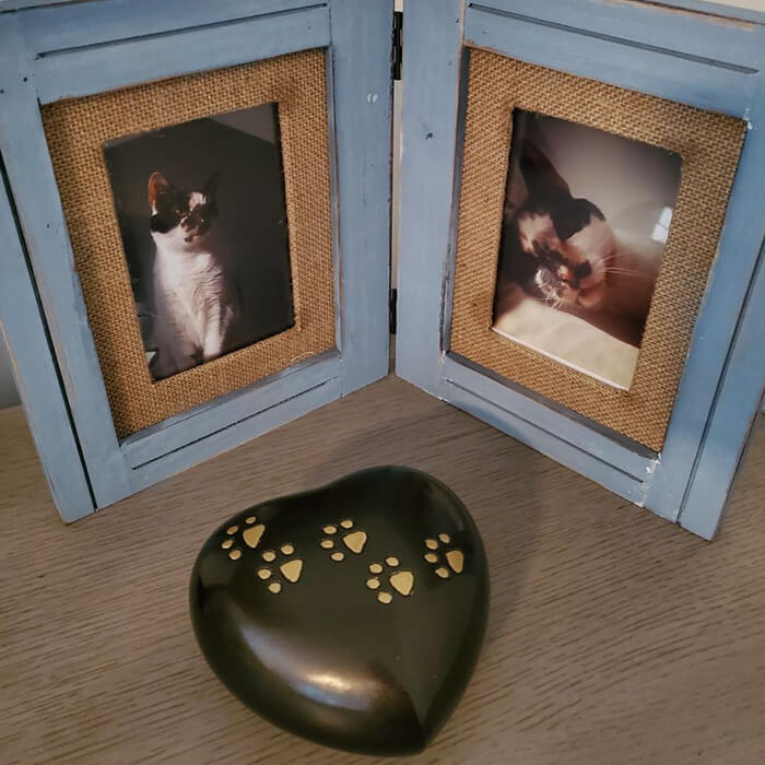 Loving Memorials of our pets