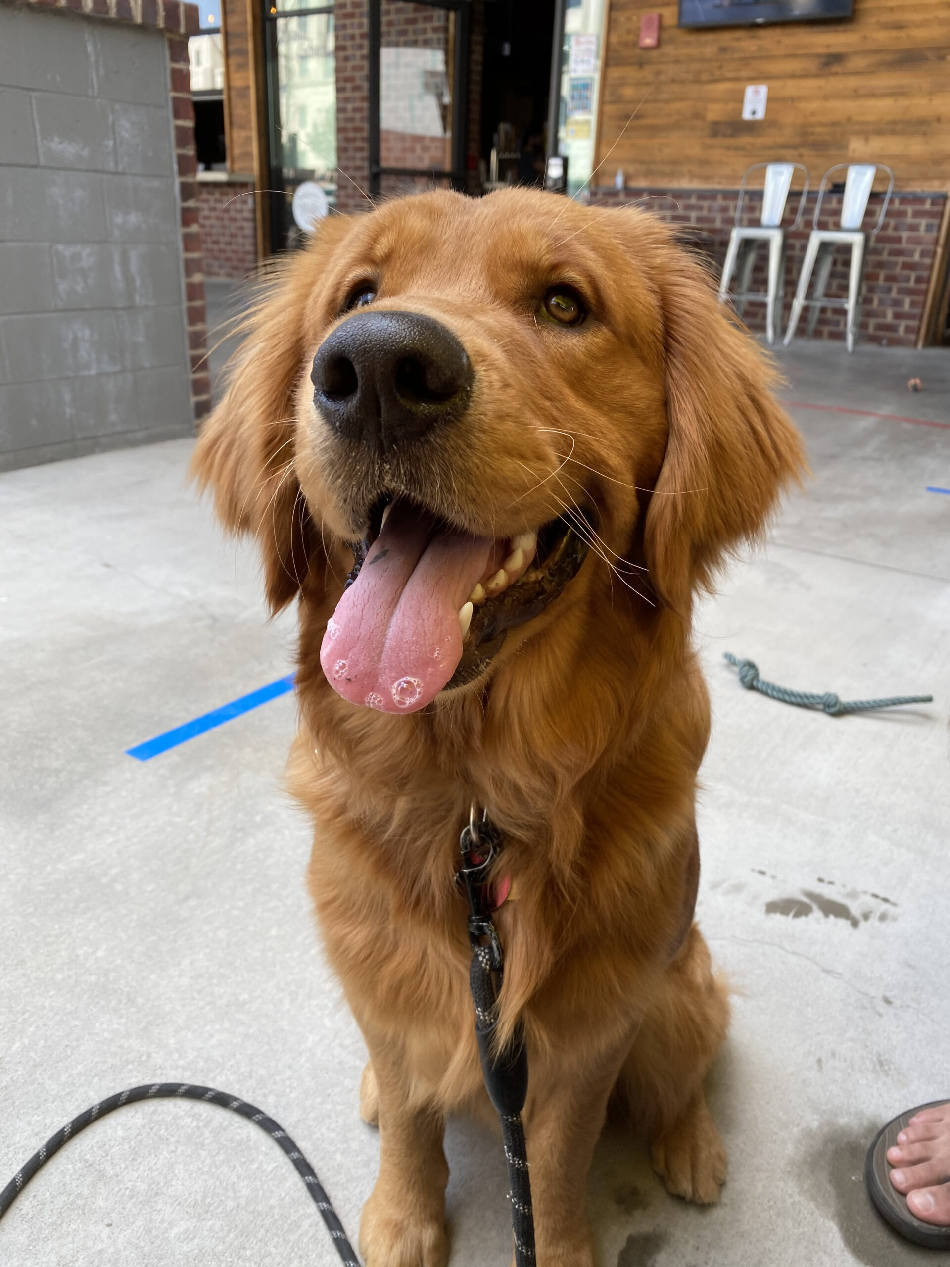 Ruger